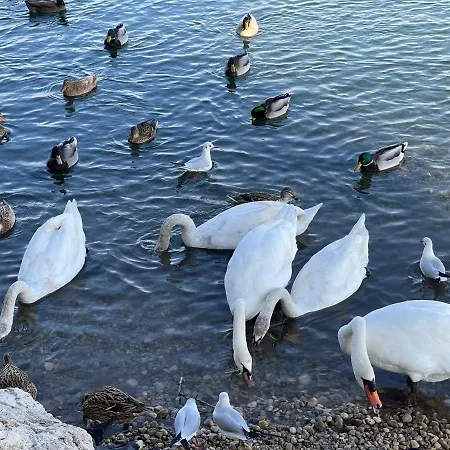 Loubet Plage- Entre Et Cannes