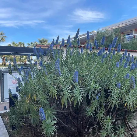 Loubet Plage- Entre Et Cannes Appartamento *