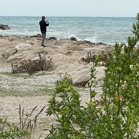 Loubet Plage- Entre Et Cannes Villeneuve-Loubet