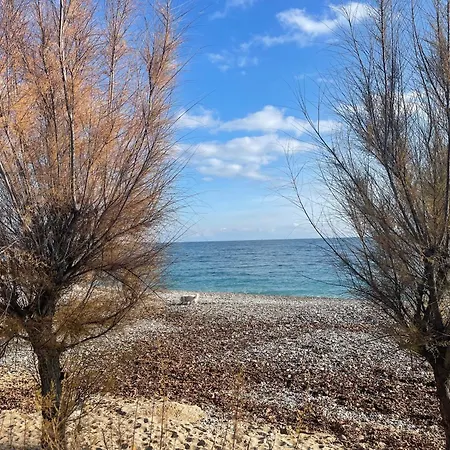 Loubet Plage- Entre Et Cannes Apartment Villeneuve-Loubet